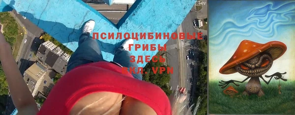 бошки Пестово