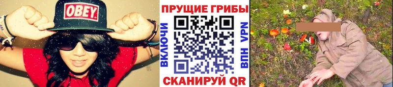 Псилоцибиновые грибы GOLDEN TEACHER  Коряжма 