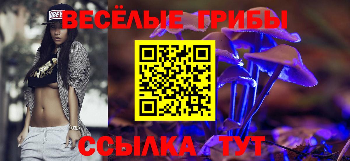 Псилоцибиновые грибы ЛСД Коряжма
